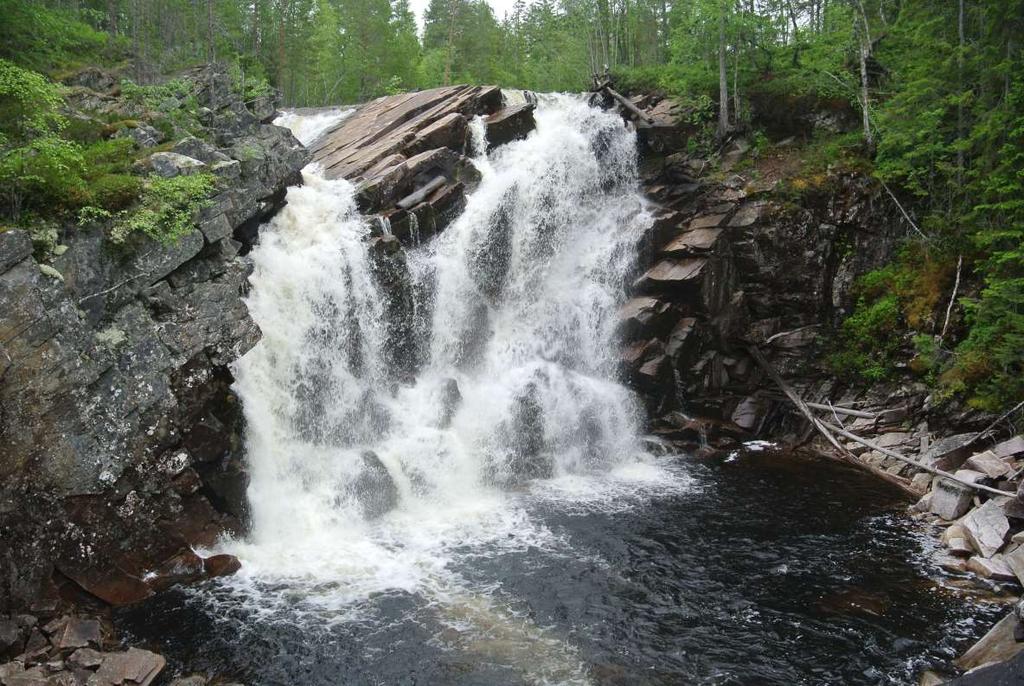 19. august: Elvelangs i Snåsa Omtrent 20 personer var med da Naturvernforbundet i Nord-Trøndelag og Skæhkere sijte inviterte med på tur i Snåsas vakre elvenatur.