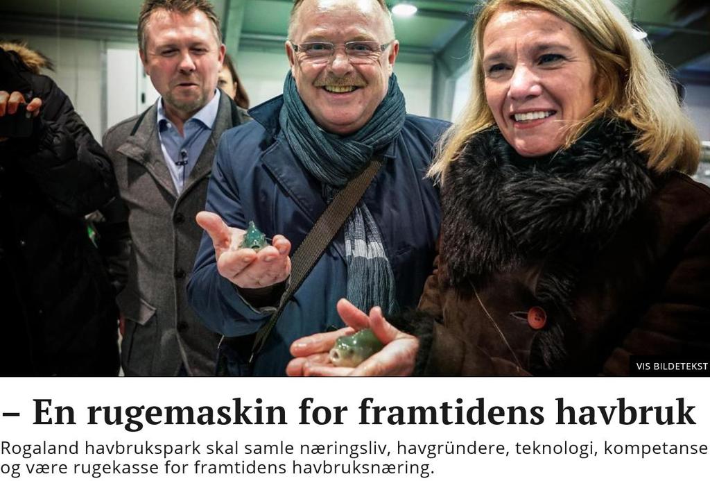Innvilgede forprosjekt fra Finnøy Søker Tittel Støtte Ryfylke Rensefisk AS Agromiljø Utvikling av miljøstyringsteknologi for produksjons- og