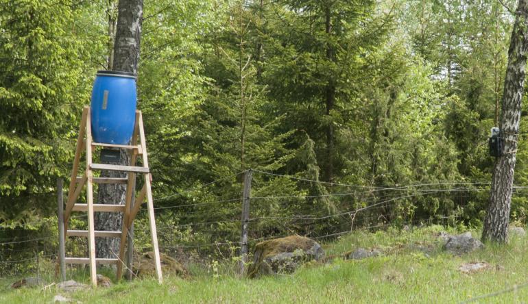 åte? Hjemmel til å gi forskrift gitt i