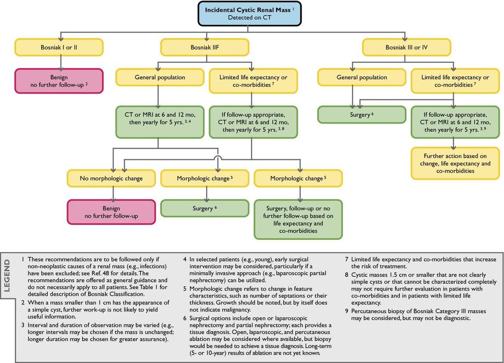 Fig 1 Journal of the American College of Radiology 2010 7, 754-773DOI: (10.1016/j.