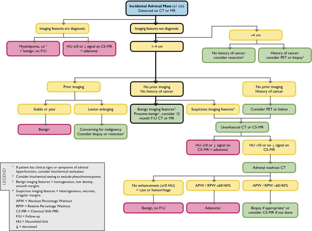 Fig 4 Journal of the American College of Radiology 2010 7, 754-773DOI: (10.1016/j.