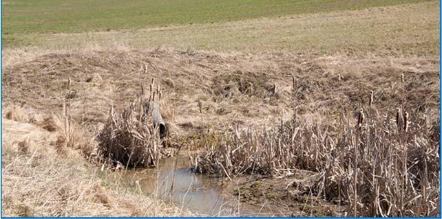 jordbrukslandskapet. En fangdam er primært et tiltak for å hente tilbake erodert jord som har kommet ut i vannveiene.