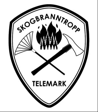 Skogbrannene i Telemark 2018 Ekstrem tørke og høy skogbrannindeks. Økning i bruk av skog og rekreasjonsområder. Uke 28 / 29 - halvannen uke med mange branner. 20-talls skogbranner samtidig.