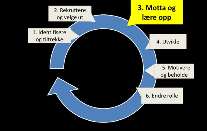 Oppdraget Målet er å utvikle en felles mottaks- og opplæringsprosess for nye ledere i Helse Midt- Norge, inkludert felles kurs,