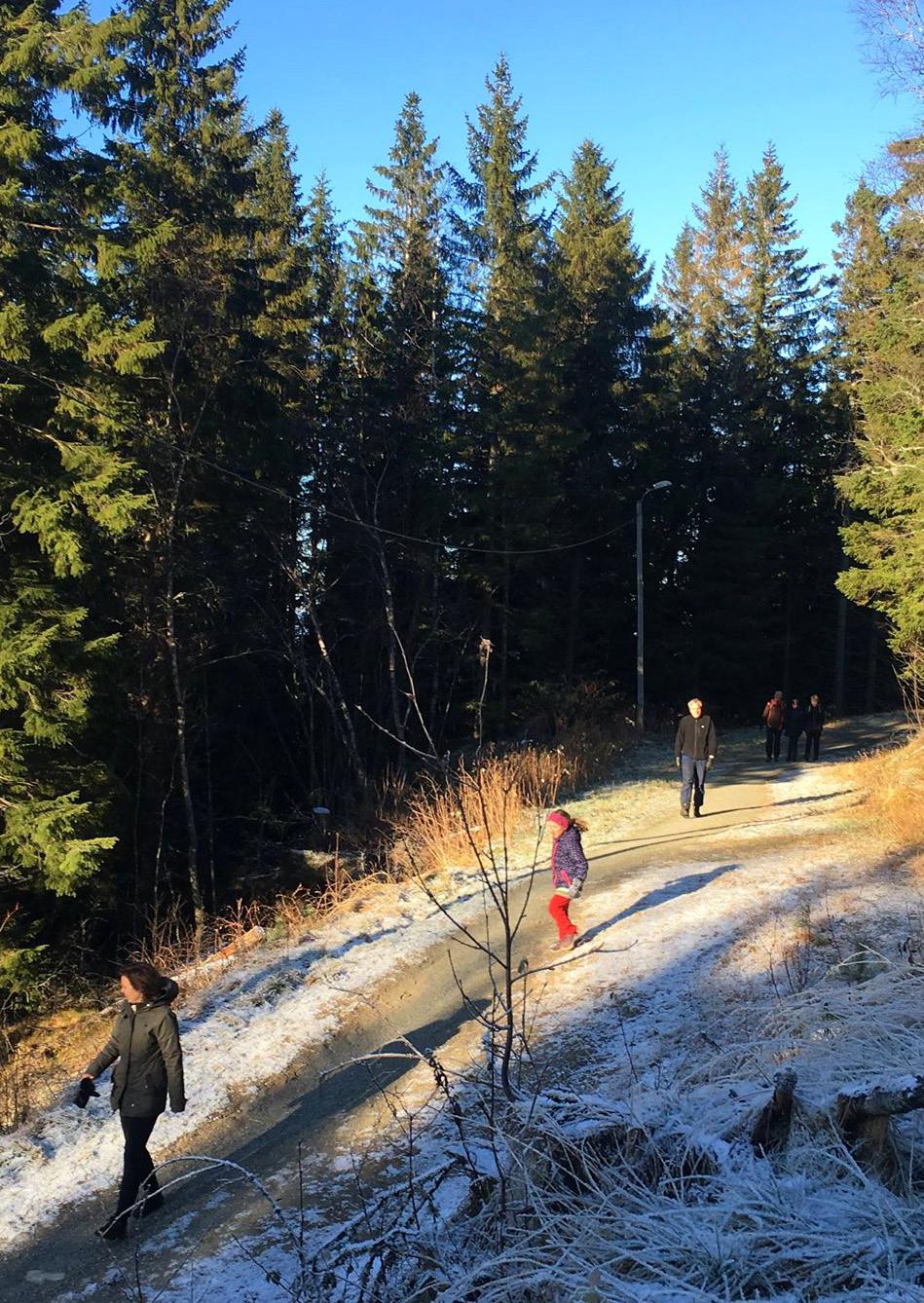 Opparbeiding av stier og turveier prioriteres, men også skilting og universell utforming vektlegges På spørsmål om hva slags tiltak som bør prioriteres kommer opparbeiding av stier og turveier på