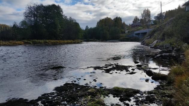 Flomverk og forbygninger, ørekyte og renseanlegg.