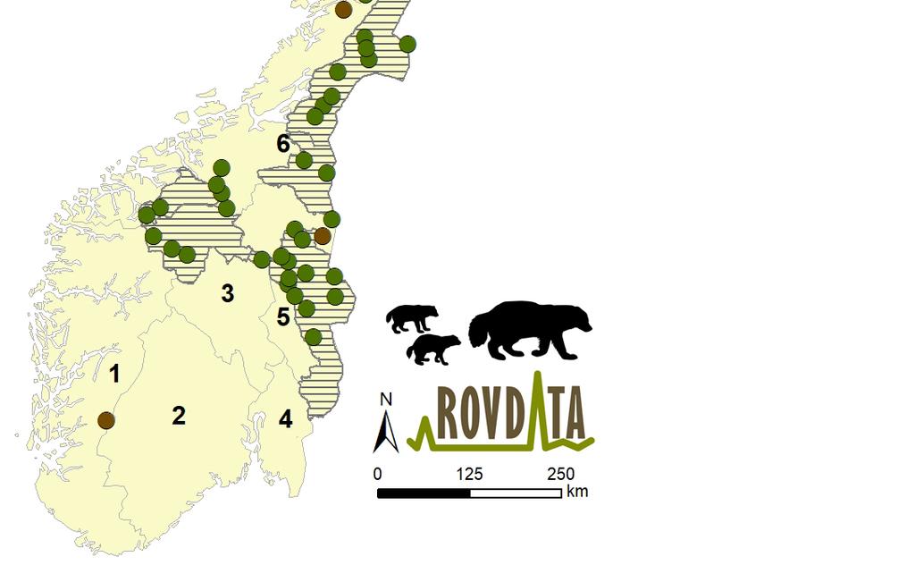 forhold til yngleområdene for jerv vedtatt av de regionale