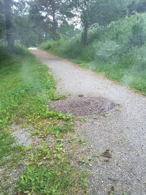 3. VIRKSOMHET OG ARBEIDSOPPGAVER 206 Utførte arbeidsoppgaver: Utført virksomhet fordelt på hovedområder, med fordeling av tidsforbruk, er vist i tabellen nedenfor.