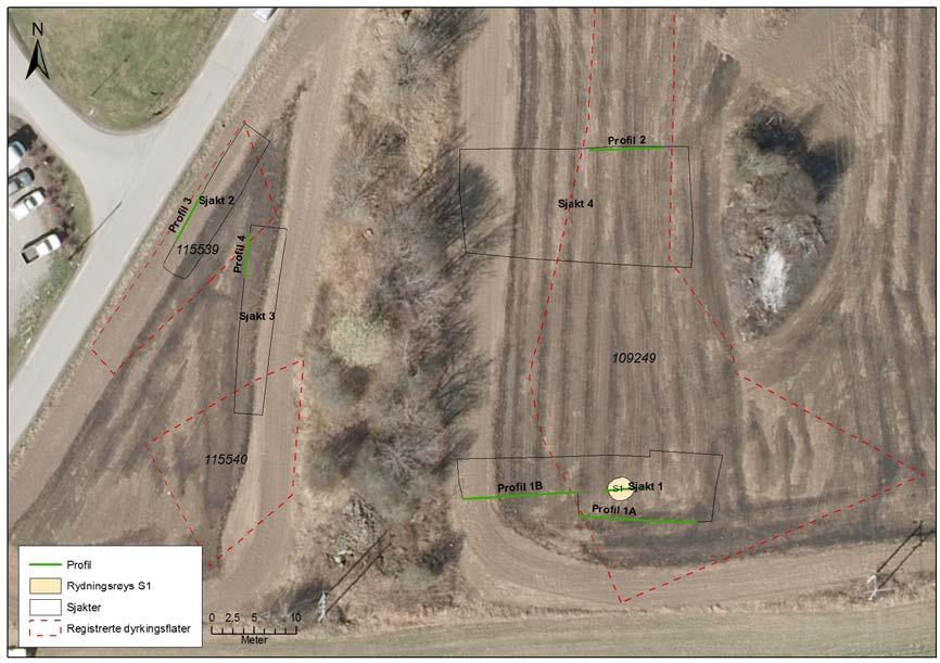 med eldre dyrkingsjord. Det ble deretter forsøkt flateavdekking av dyrkingslag id 109249 nord for sjakt 1, på arealet som etter hvert ble definert som sjakt 4.