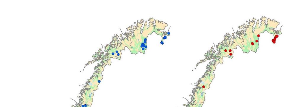 NINA Rapport 1494 Figur 5B. Geografisk fordeling av 125 bjørn i Norge 2017 påvist med DNA-analyse.