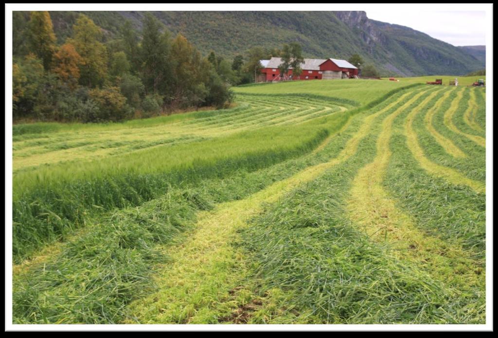 Høringsdokument Matjorda grunnlaget for det arktiske landbruket Matjordprogram for Troms og Finnmark 2019-2022 Ett av fire delprogram