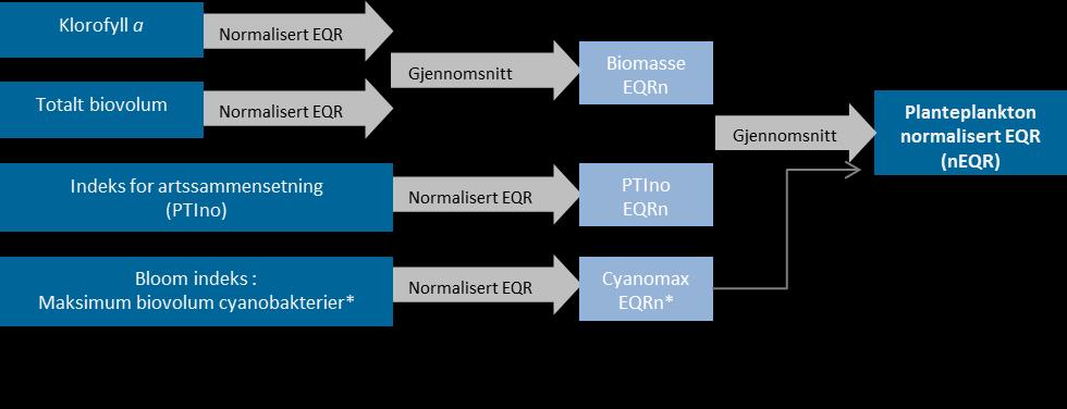 Figur V2-1. Klorofyll a, totalt volum og PTI normaliseres og gjennomsnittet benyttes for å beregne en NEQR for planteplanton.