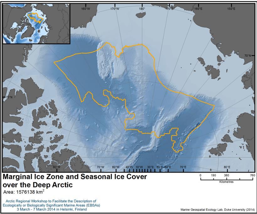 The Arctic Ice habitat - multiyear ice, seasonal ice and- marginal ice zone (North-East Atlantic) Uniqueness