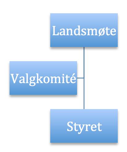 HR velges av styret og avtroppende HR gjennom en offentlig rekrutteringsprosess. Stillingen skal lyses ut slik på en hensiktsmessig måte slik at det enkelt kan oppsøkes av organisasjonens medlemmer.