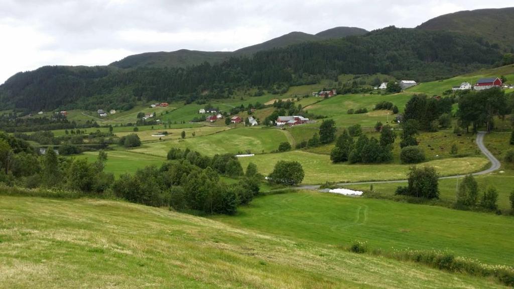Problemkartlegging Nordfjord Tilførsel av fosfor til vassdrag: Jordbruksavrenning: 49 % (0 80 %) Punktkjelder jordbruk: 8 % (0 32 %) Spreidde avløp: 9 % (0 24 %)