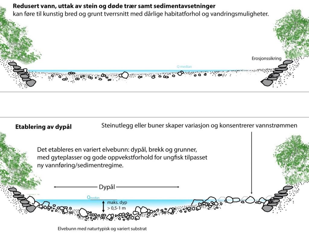 Figur 9 Øvre tverrsnitt: Redusert vannføring, uttak av stein og døde trær, samt sedimentavsetninger kan gi et kunstig bredt