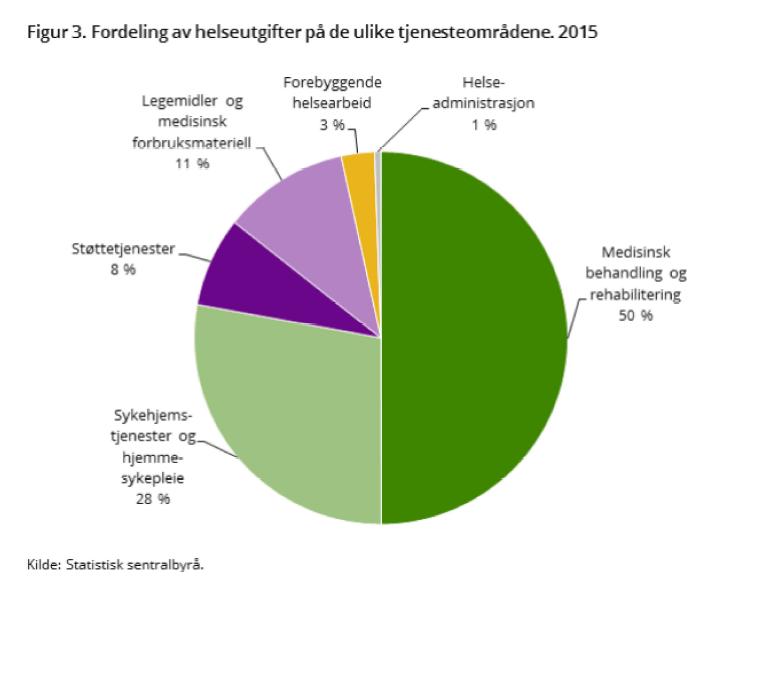 Halvparten går til medisinsk behandling og