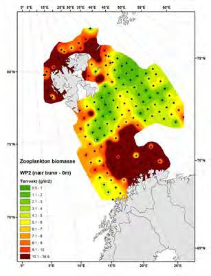 Plankton Dyreplankton i Barentshavet I august september 216 ble det målt en liten reduksjon i mengden dyreplankton i forhold til året før i den delen av Barentshavet som Norge overvåker.