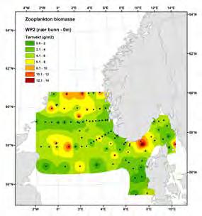 Plankton Dyreplankton i Nordsjøen I 216 ble det registrert en moderat økning i planktonmengdene i nordlige Nordsjøen og Skagerrak, men verdiene ligger fremdeles under langtidsmiddelet.