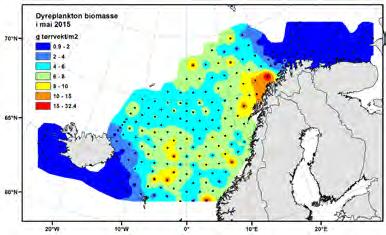 Plankton Dyreplankton i Norskehavet Mengden dyreplankton i Norskehavet er nå på vei oppover etter bunnivået i 21. Østlige deler av Norskehavet hadde de høyeste forekomstene av dyreplankton i 216.