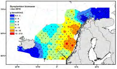no I Norskehavet blir det samlet inn dyreplanktondata både fra regionale overvåkningstokt og fra tre faste snitt (Svinøy, Gimsøy og Bjørnøya-vest).