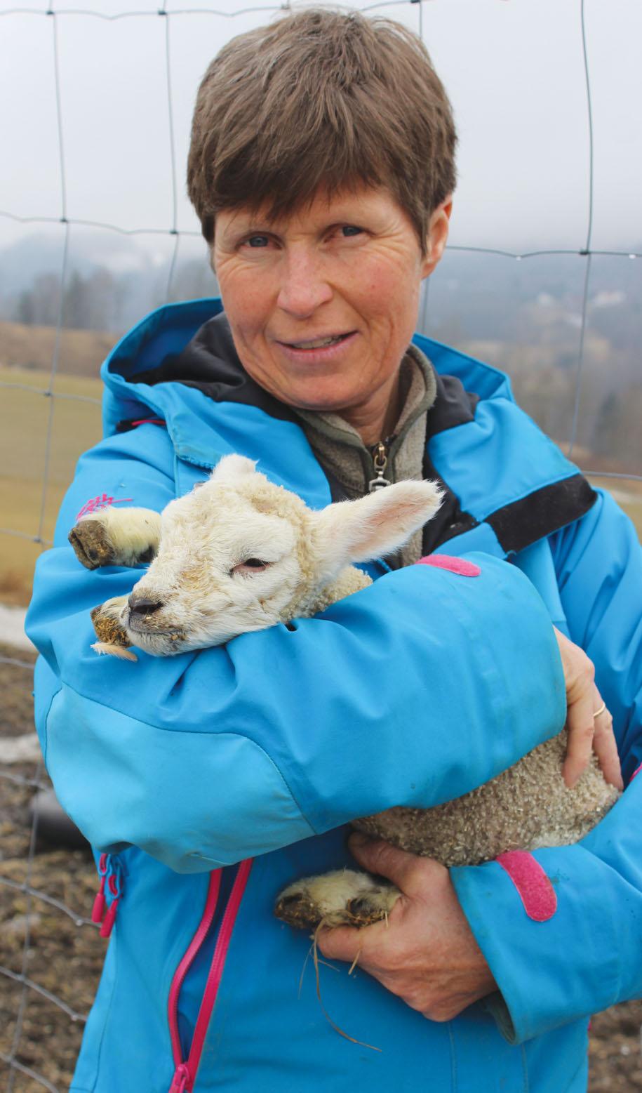 Innleggene er hittil blitt delt 13 000 ganger og er fortsatt en «snakkis». Tekst og foto: Eli Bondlid Katrine Kirkhorn er veterinær, bosatt i Lier.