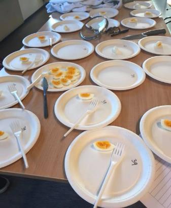 Smakstester Testene ble gjennomført 17. nov, 22. jan, og 24 jan. Eggene ble lagt i to like store kjeler, der kontrolleggene og camelinaeggene ble lagt i hver sin.