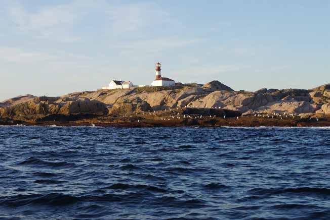3: BRUKERINTERESSER HISTORIKK Herøya er et eksempel på et reservat som enkelte år har vært skjermet for sommerbeite.
