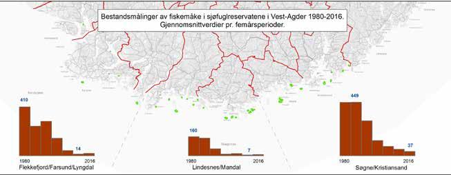 Laveste og høyeste måling i løpet av perioden ev framhevet. Utvikling og status Figuren over viser den registrerte bestandsutviklingen for sildemåke i reservatene siden 1980.