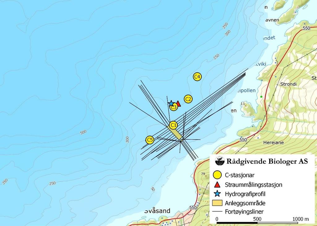 Ut frå djupnekarta ser ein at lokaliteten ved Svåsandneset ligg i eit område der botn skrånar relativt jamt og middels bratt nedover til 100 m djup over ein distanse på ca 250 m frå land (figur 2 &