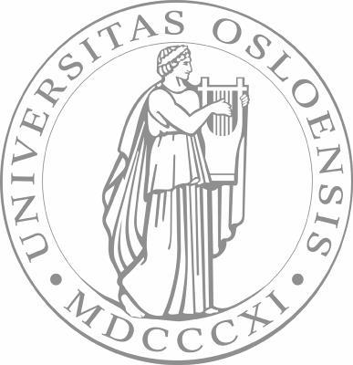 RAPPORT ARKEOLOGISK UTGRAVNING KULTURHISTORISK MUSEUM UNIVERSITETET I OSLO ARKEOLOGISK SEKSJON Postboks 6762, St.