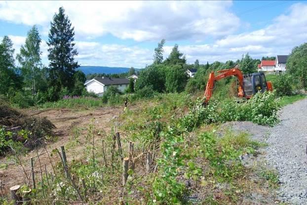 Store deler av planområdet var tilvokst med tett lauvskog. Hogsten i forkant av feltarbeidet fikk innvirkning på undersøkelsens omfang, prioritering og kvalitet.