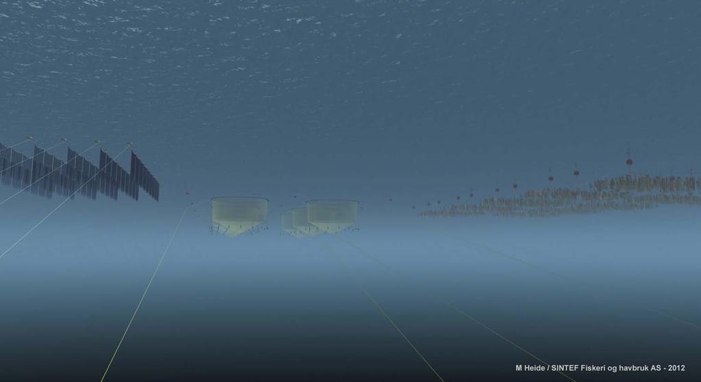 Aquaculture 414-415:191-201 Broch O.J. et al. 2013. Modelling the cultivation and bioremediation potential of the kelp Saccharina latissima in close proximity to an exposed salmon farm in Norway.