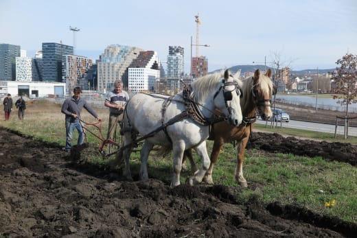 Almennyttebegrepet Allmennyttige formål er ikke et presist