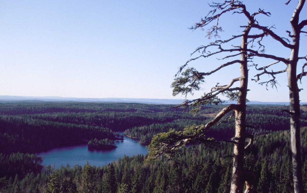 Oslo Østmark - Observasjoner av vannkjemi