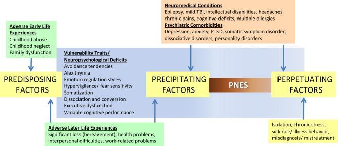 Multiple Factors are Associated to PNES Including Vulnerability Traits/Neuropsychological Deficits, Adverse Life Experiences and Psychiatric Comorbidities and Neuromedical Conditions.