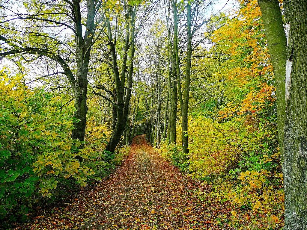 1. Innledning 1. Planprogram for grønnstruktur med turstier 3 2. Bakgrunn for grønnstrukturplanen med turstier 3 2.1 Planstrategi 3 2.2 Grønnstrukturplan med turstier 3 2.