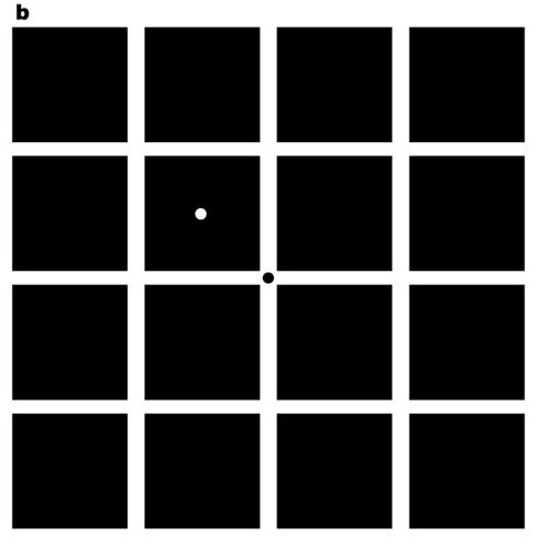 Fiksasjonsbevegelser Fikser på det sentrale sorte punktet i 1 min. Deretter på det hvite punktet i den sorte ruten ovenfor Hva opplever du? Pattern for showing fixational eye movements.