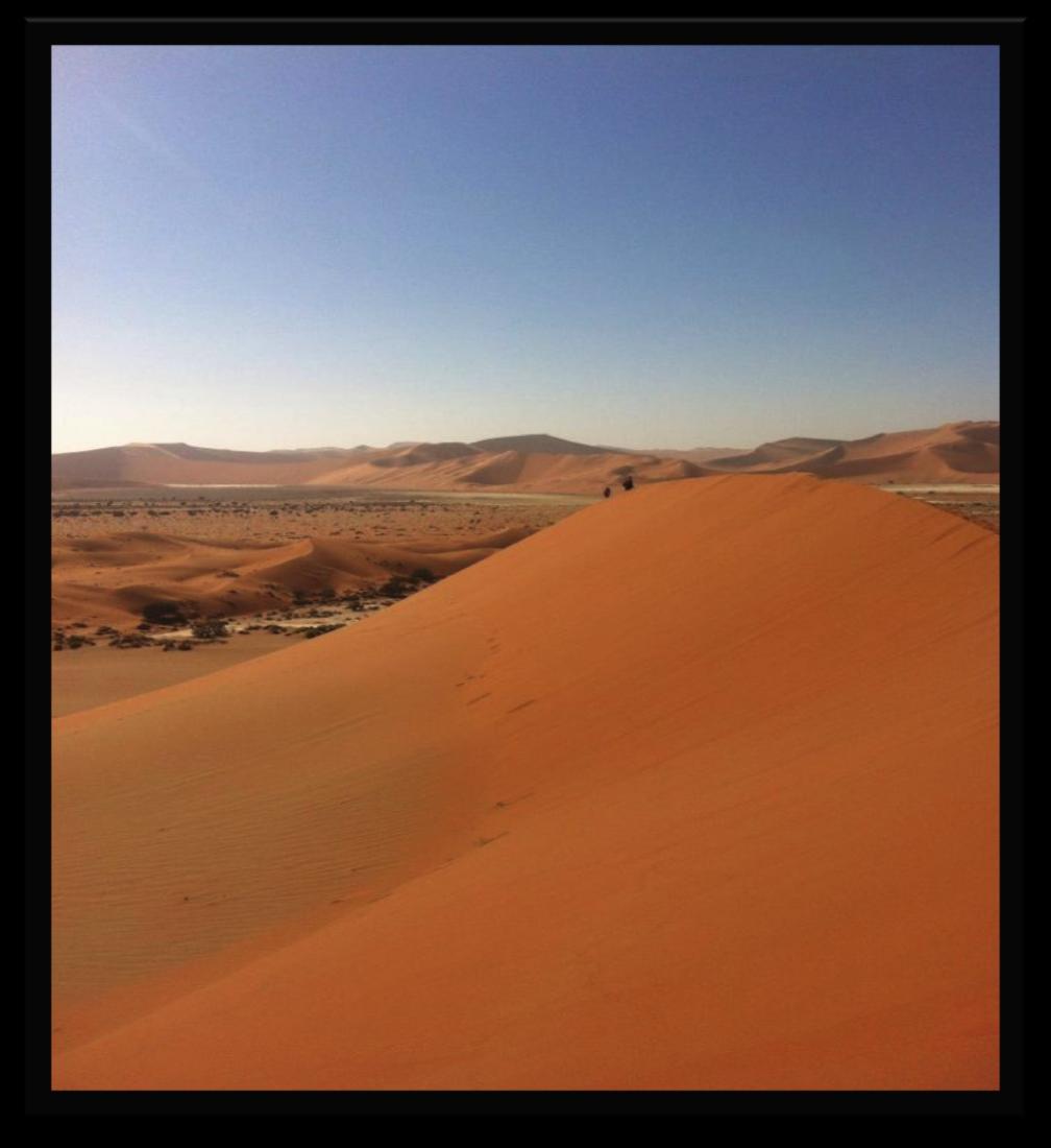 3 Sossusvlei Vår første tur gikk til Sossusvlei. Sossusvlei er omgitt av verdens høyeste sanddyner, noen 300 meter høye.