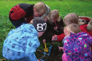 Det mørke, næringsrike matjordlaget er karakteristisk for jordgruppen Phaeozem.