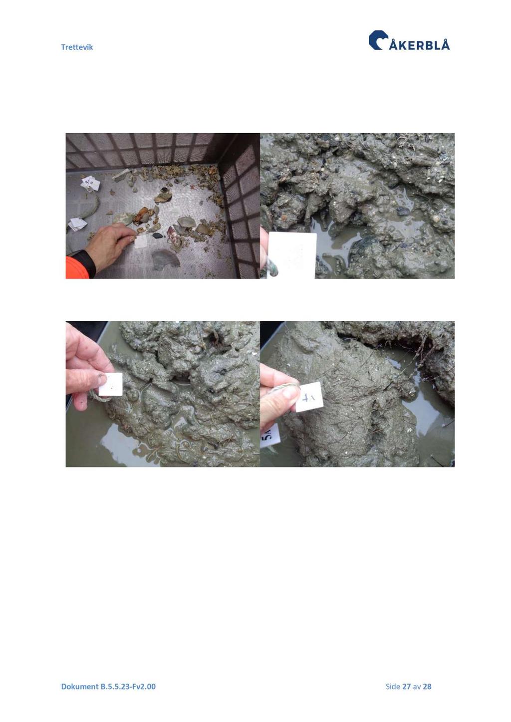 Vedlegg 2 Bilder sediment C - undersøkelse Det ble tatt bilder av sedimentet fra ett