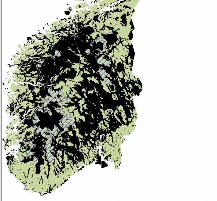 HVA SKJER MED