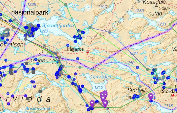 2016: Det kom dyr inn i fredningssonen, men de krysset ikke Lågen nordover.