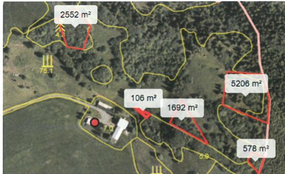 Verdal kommune - Landbruk, miljø og arealforvaltning Side 6 av 7 Det innvilges tilskudd til rydding av totalt 10,1 daa, områdene er vist på kart under.