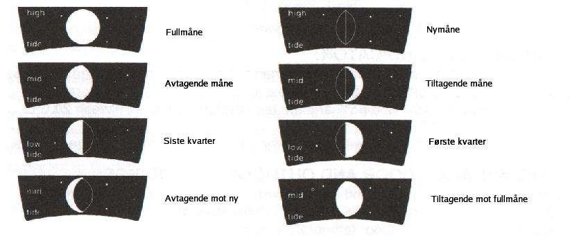 1. Veksle mellom utesensorene med CHANNEL knappen. En gang for å vise sensor 2, to ganger for å vise sensor 3 og tre ganger for å gå tilbake til sensor 1 2.