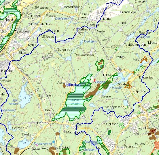 Miljøregistrering i Skog: Utsnittet under viser miljøregistreringer i skog (MiS figurer), viktige naturtyper og utstrekningen av nedbørsfeltet for Lilleelva.