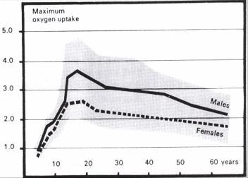 Stor variasjon i fysisk utholdenhet (I. Åstrand, J Appl Physiol 1973) Maks arbeidskapasitet (surstoffopptak i liter/minutt) Menn Kvinner alder Hvem unngår muskelsmerter?
