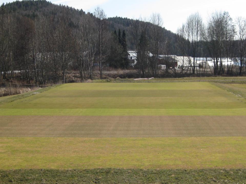 Tidig vårtilvekst: Landvik, 17.