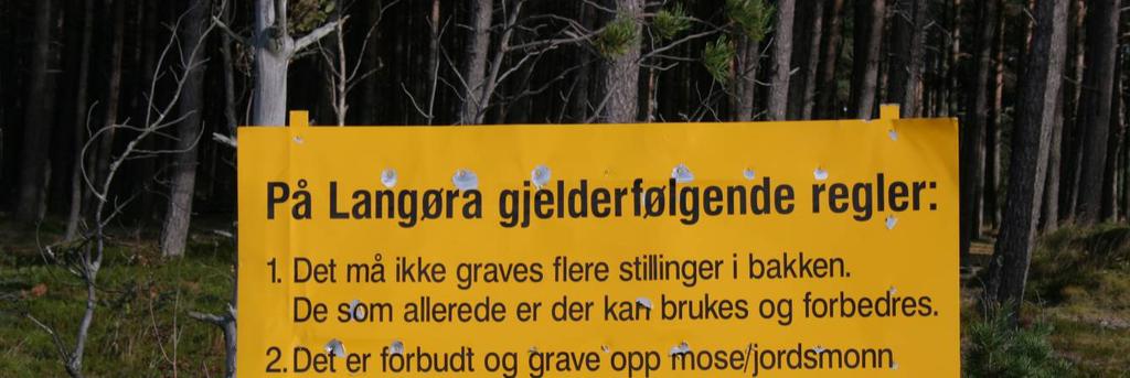 Furuskogen på Langøra N er ikke kartlagt som en naturtypelokalitet, og det er ikke knyttet forvaltningsråd til lokaliteten i denne rapporten. Furuskogen utgjør et vakkert landskapstrekk.