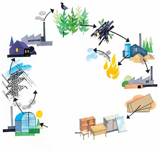 Miljø Skog CO 2 Trevirke Industri Treindustri Bolig Produksjonsenergi El-energi CO 2 Sponplateproduksjon Møbel- og innredningsindustri Forbrenningsanlegg Boligindustri Forestia har en av nordens